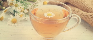 Camomilla: una piantina ricca di proprietà da coltivare in vaso